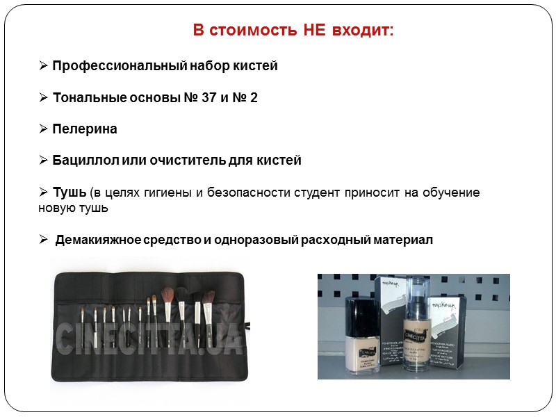 В стоимость НЕ входит:   Профессиональный набор кистей   Тональные основы №